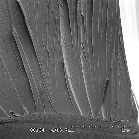 thermoplastic cracks or cracking test polycarbonate impact|amorphous polycarbonate failure.